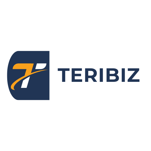 Online Business Growth | Digital Marketing Strategy | Teribiz